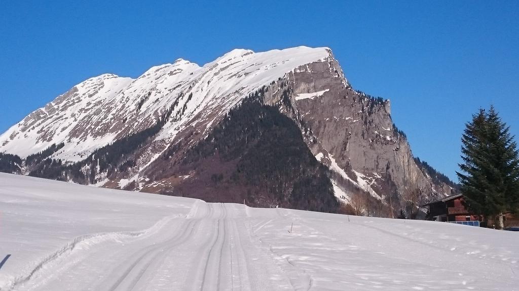 Mein Elternhaus Waltraud Fink * Au (Vorarlberg)